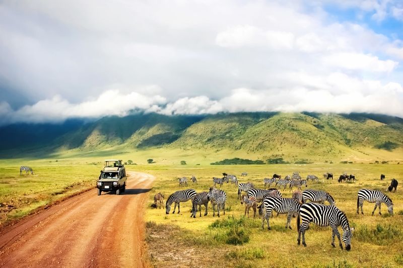 Safaris Ngorongoro, Tarangire et Manyara et Séjour au Waridi Beach Resort & Spa 4* NL pas cher photo 6