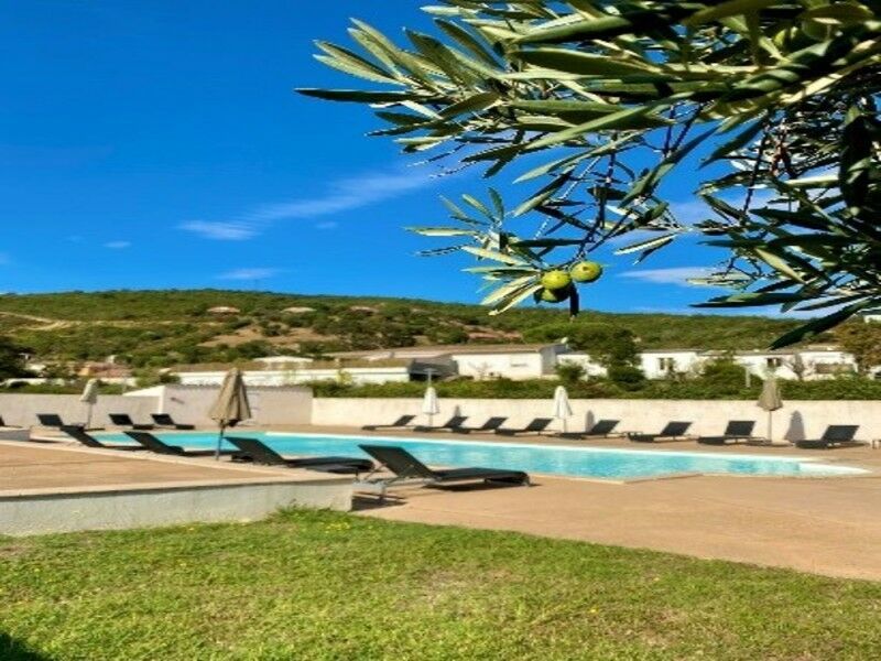 Circuit autocar Les Merveilles de Corse - D'Ajaccio A Ajaccio pas cher photo 1