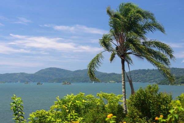 Circuit Aux Rythmes de la Bossa Nova : d'Iguaçu à Paraty pas cher photo 29