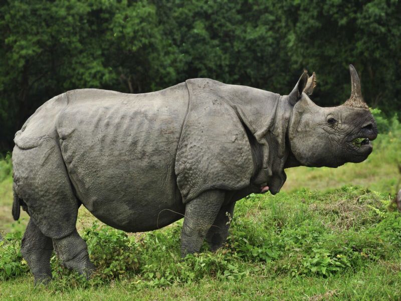 Circuit Immersion au Népal pas cher photo 8