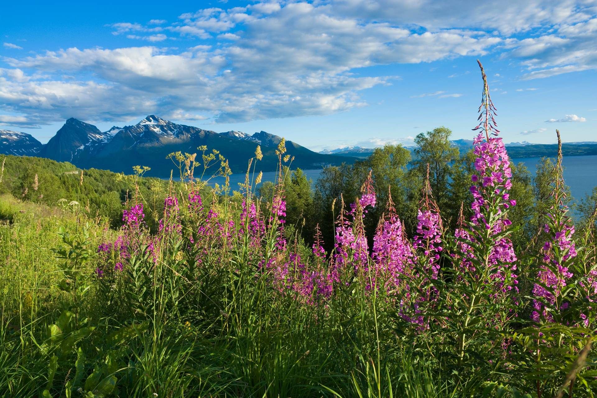 Norvège du Nord : Tromso, Lofoten et Cap Nord 8J/7N pas cher photo 2