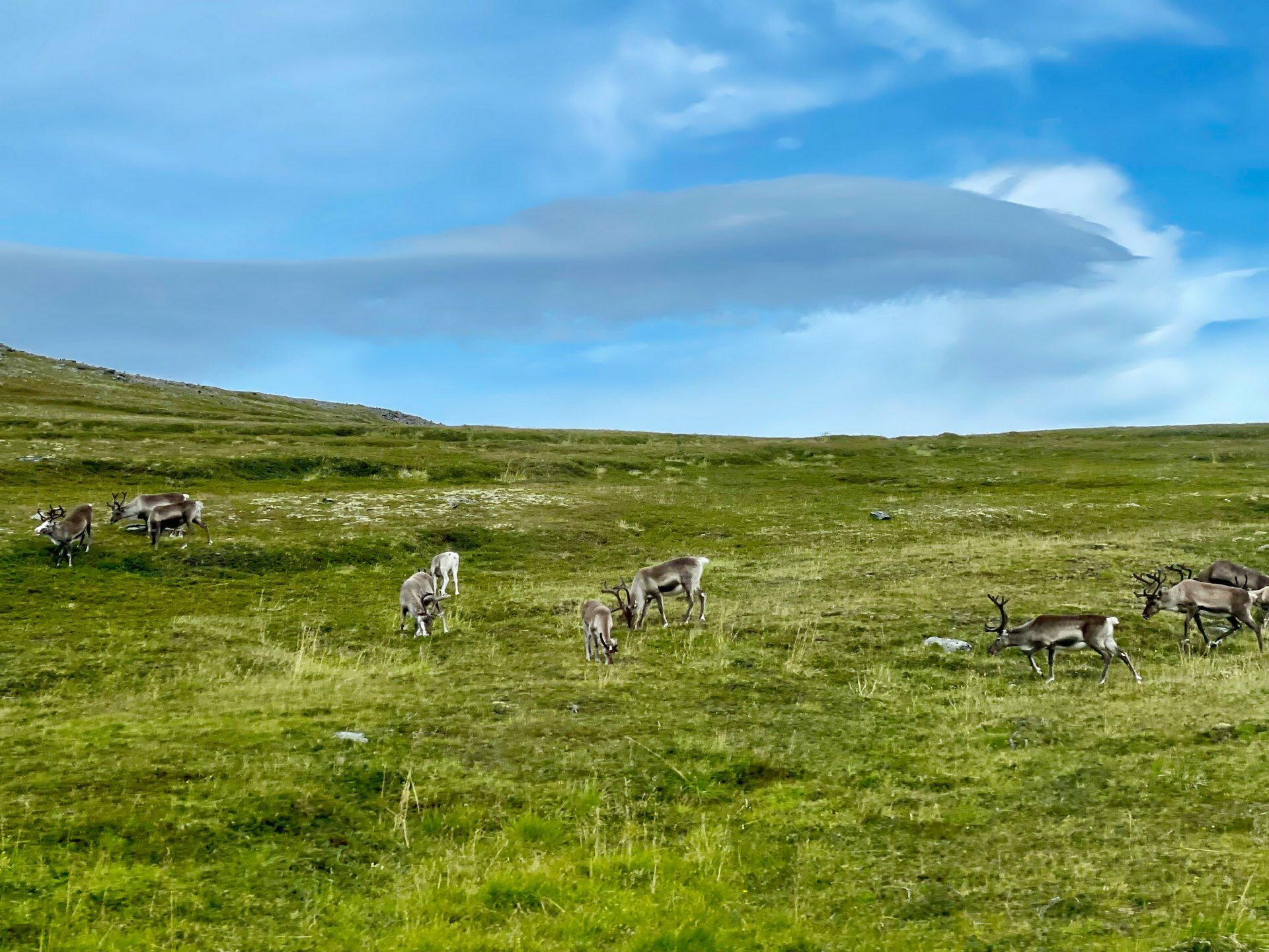 Norvège du Nord : Tromso, Lofoten et Cap Nord 8J/7N pas cher photo 5