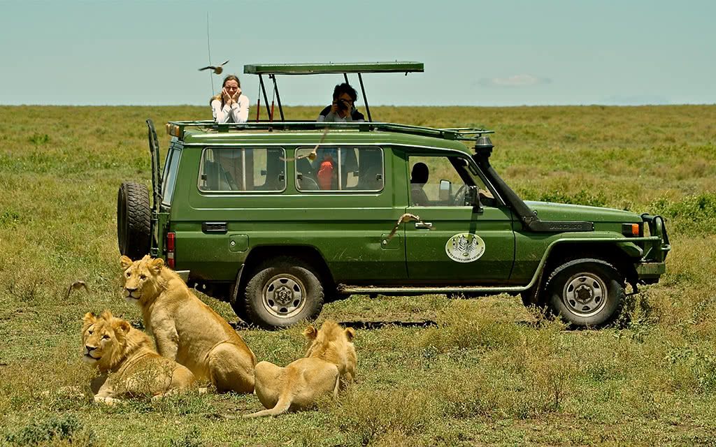 Safari Selous 3 nuits + Karafuu Beach Resort & Spa Zanzibar 4 nuits pas cher photo 2