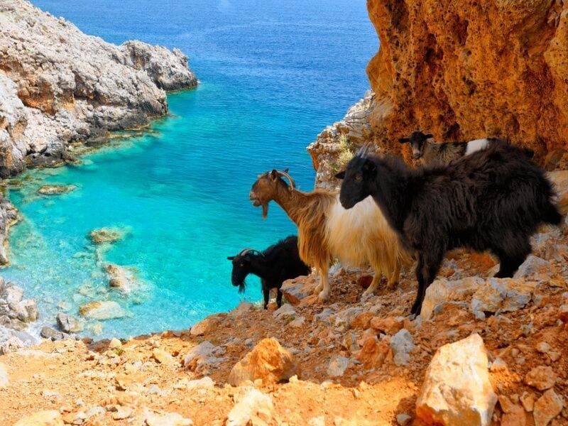 Autotour Echappée crétoise en 4*- 10 nuits - De Heraklion A Heraklion pas cher photo 9