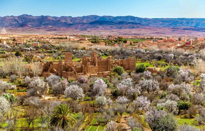 Circuit Kasbahs, Oasis et Gorges & Extension Kenzi Rose Garden 5*. pas cher photo 20