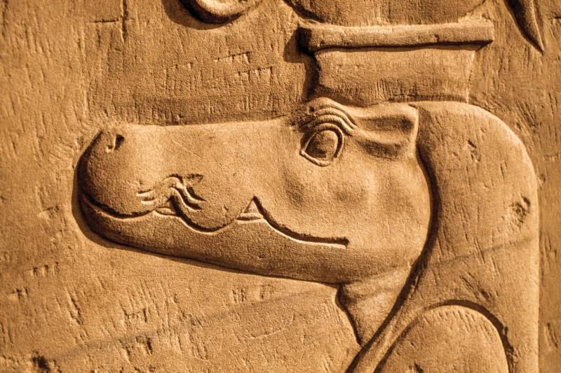 Circuit Pharaons Flyingstars (10 visites incluses) pas cher photo 8