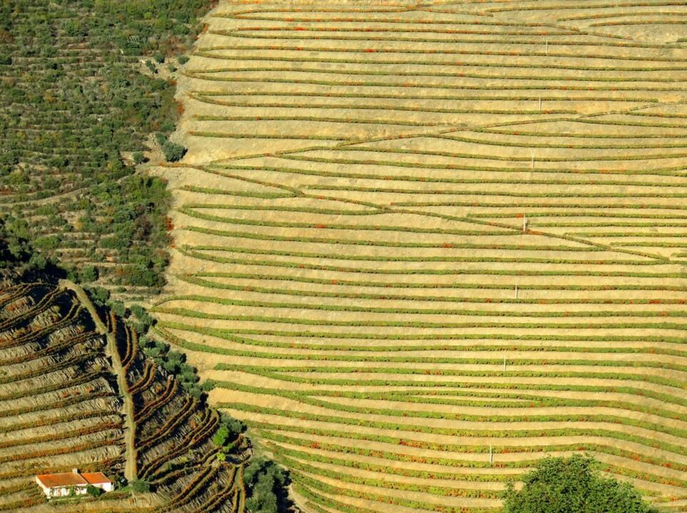 Autotour Cap sur les Routes du Nord du Portugal 3* pas cher photo 15