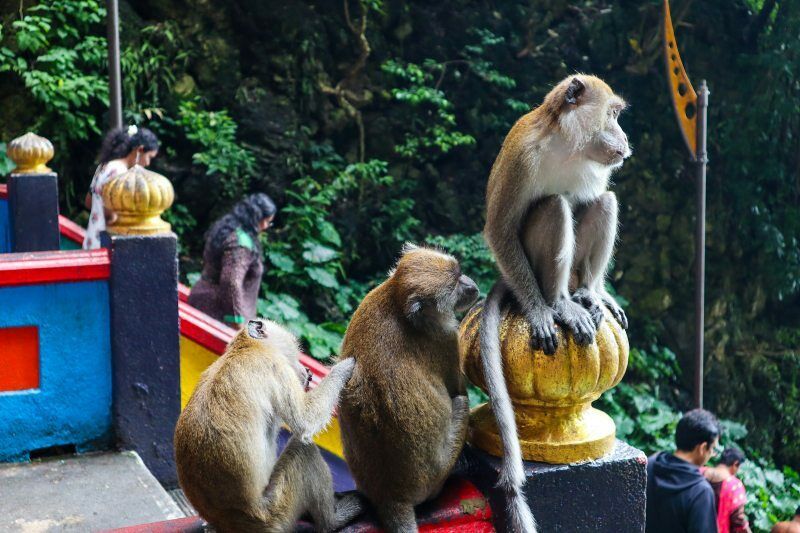 Circuit Coralia Ame Authentique De La Malaisie Et Séjour Balnéaire en Thaïlande Au Club Coralia Pamo pas cher photo 2