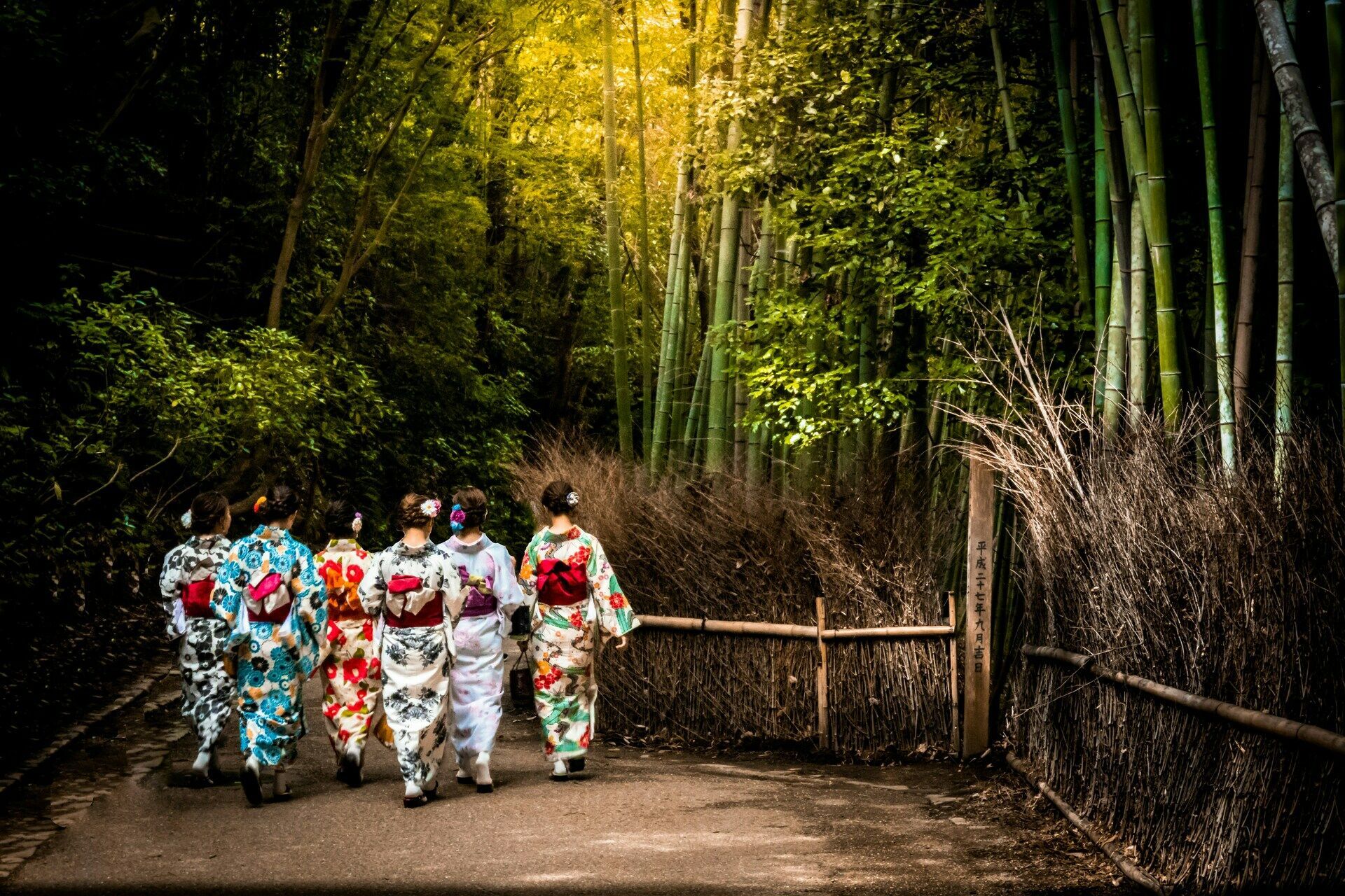 Circuit Individuel Plongée dans l’Univers du Japon 3* pas cher photo 15
