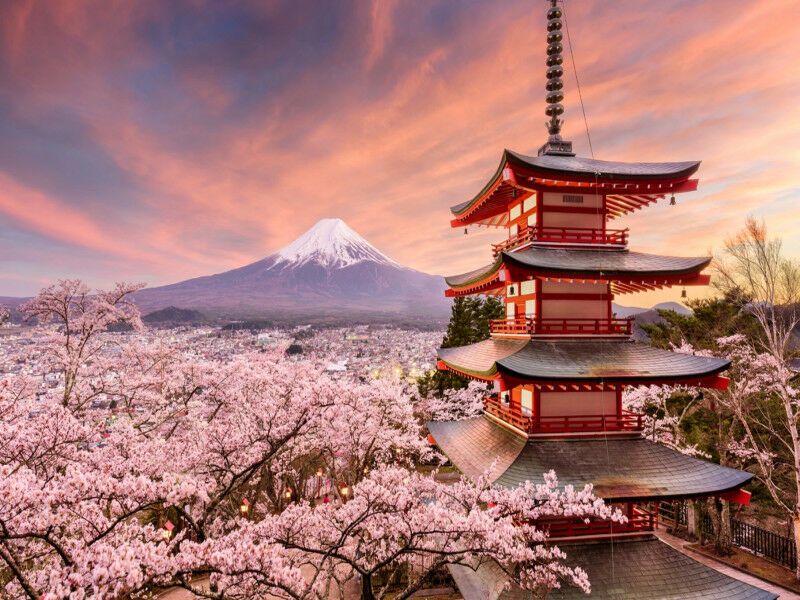 Circuit Kyoto Hakone Tokyo - De Osaka A Tokyo pas cher photo 4