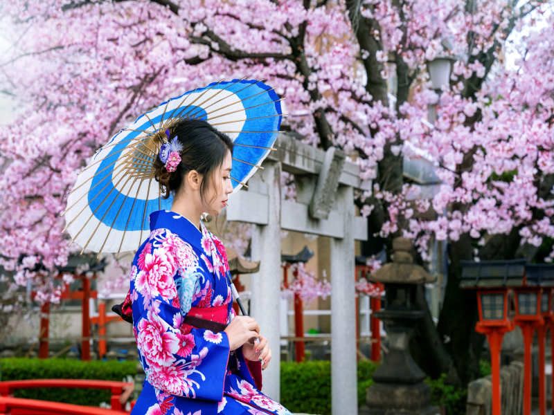 Circuit Immersion au Japon pas cher photo 13