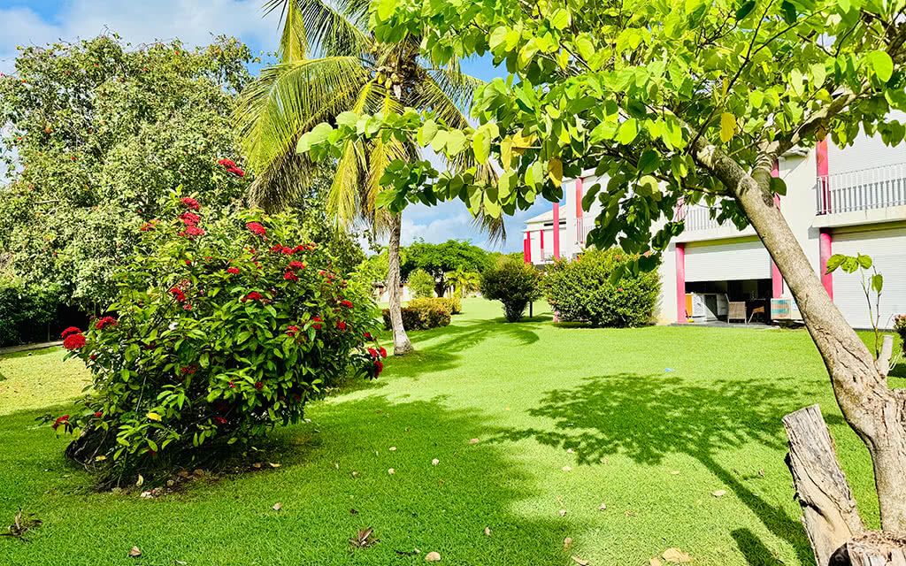 COMBINÉ 2 ILES : GUADELOUPE + MARTINIQUE Résidence Le Vallon + Karibea Caribia 10 nuits pas cher photo 1