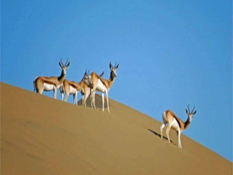 Circuit Caprivi, Botswana & Victoria Falls pas cher photo 7