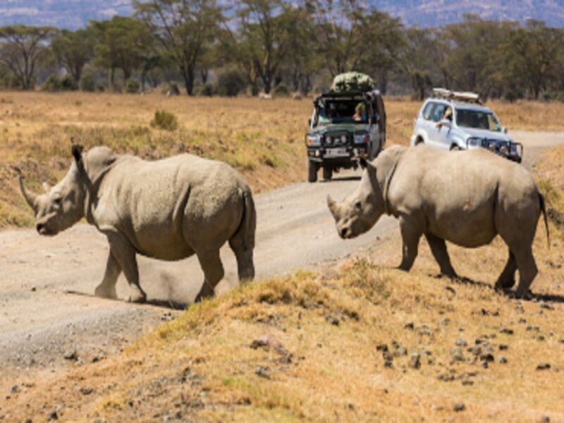 Circuit Caprivi, Botswana & Victoria Falls pas cher photo 10