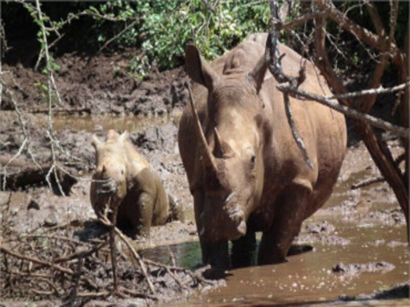 Circuit Caprivi, Botswana & Victoria Falls pas cher photo 12