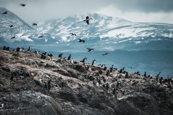 Circuit Aventure Argentine : de la Terre de Feu aux Andes du Nord pas cher photo 5