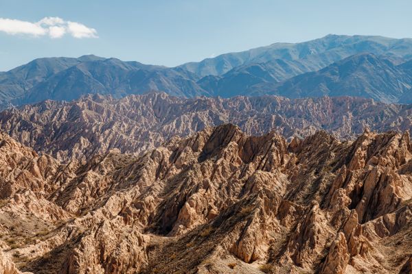 Circuit Aventure Argentine : de la Terre de Feu aux Andes du Nord pas cher photo 19