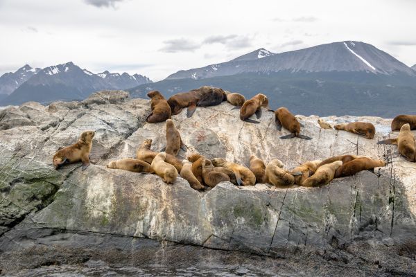 Circuit Aventure Argentine : de la Terre de Feu aux Chutes d'Iguaçu pas cher photo 4