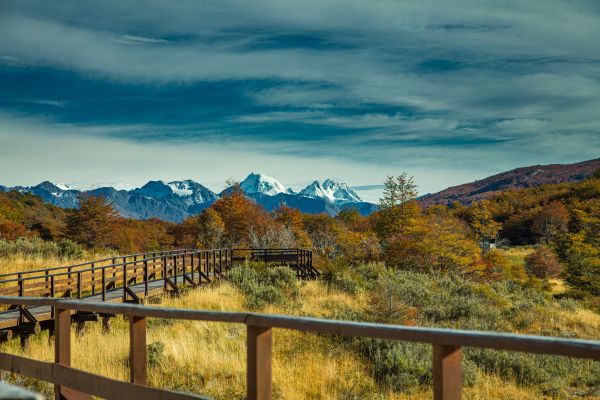 Circuit Aventure Argentine : de la Terre de Feu aux Chutes d'Iguaçu pas cher photo 10