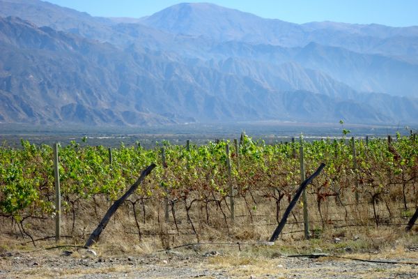 Circuit Aventure Argentine : de la Terre de Feu aux Chutes d'Iguaçu pas cher photo 29