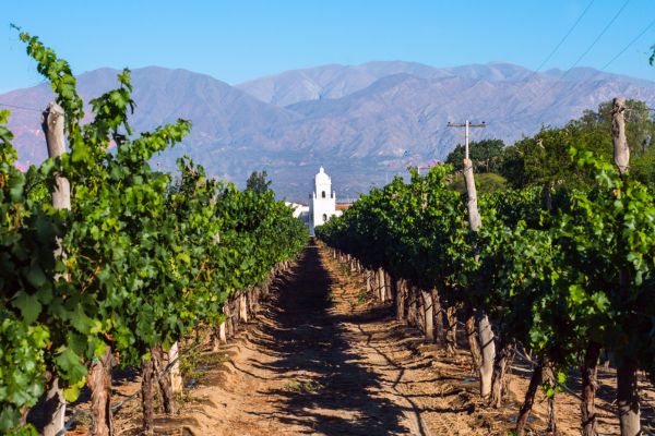 Circuit Aventure Argentine : de la Terre de Feu aux Chutes d'Iguaçu pas cher photo 30