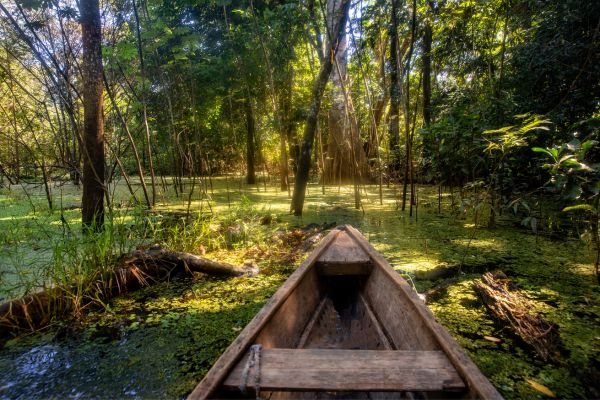 Circuit Aux Rythmes de la Bossa Nova : de Rio à l'Amazonie pas cher