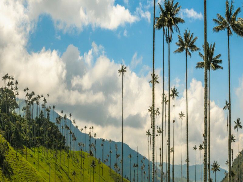 Circuit les incontournables de la Colombie, limité à 18 personnes pas cher photo 5