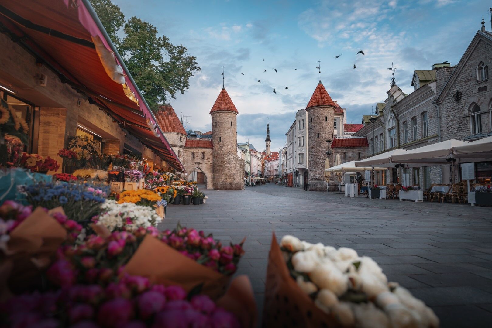 Au coeur des capitales baltes : de Riga à Tallinn 5J/4N - sortie Tallinn pas cher photo 2