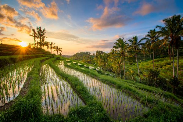 Circuit d'Ubud aux Trésors de l'Océan en Privatif pas cher photo 19