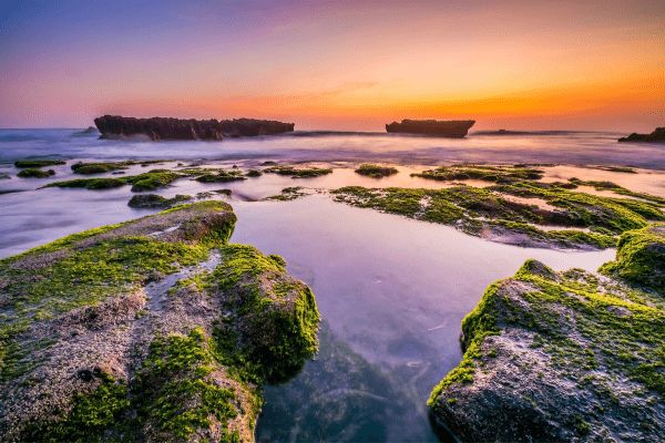 Circuit Nature, Traditions et bord de Mer, de Munduk à Canggu en Privatif pas cher photo 13