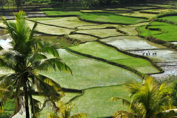 Circuit De Bali aux Terres Sauvages de Sumba pas cher photo 7