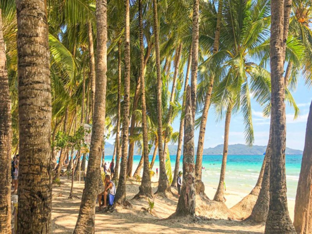 Combiné Manille Boracay en 11J/8N - Belmont Boracay 4*(nl) - Privatif pas cher photo 8