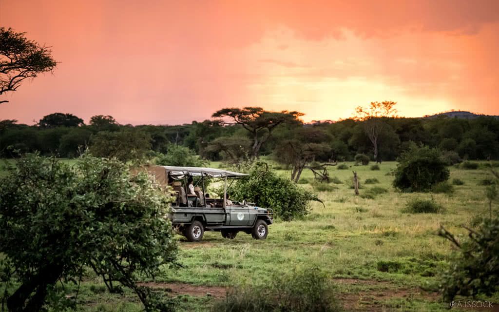 Safari Parcs du Nord 5 nuits - Grand Safari Classique pas cher photo 3