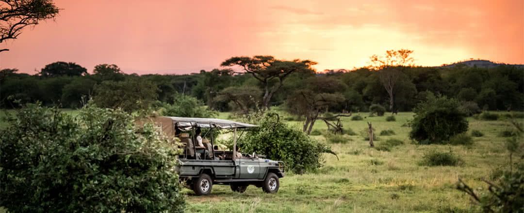 Safari Parcs du Nord 5 nuits - Grand Safari Classique pas cher photo 12