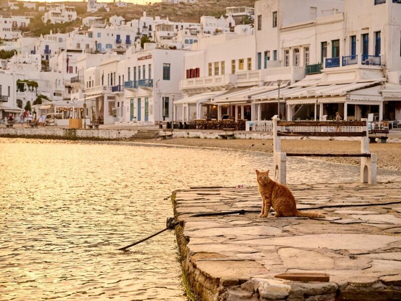 Combiné Cyclades Santorin, Naxos, Syros et Mykonos 3* pas cher photo 9