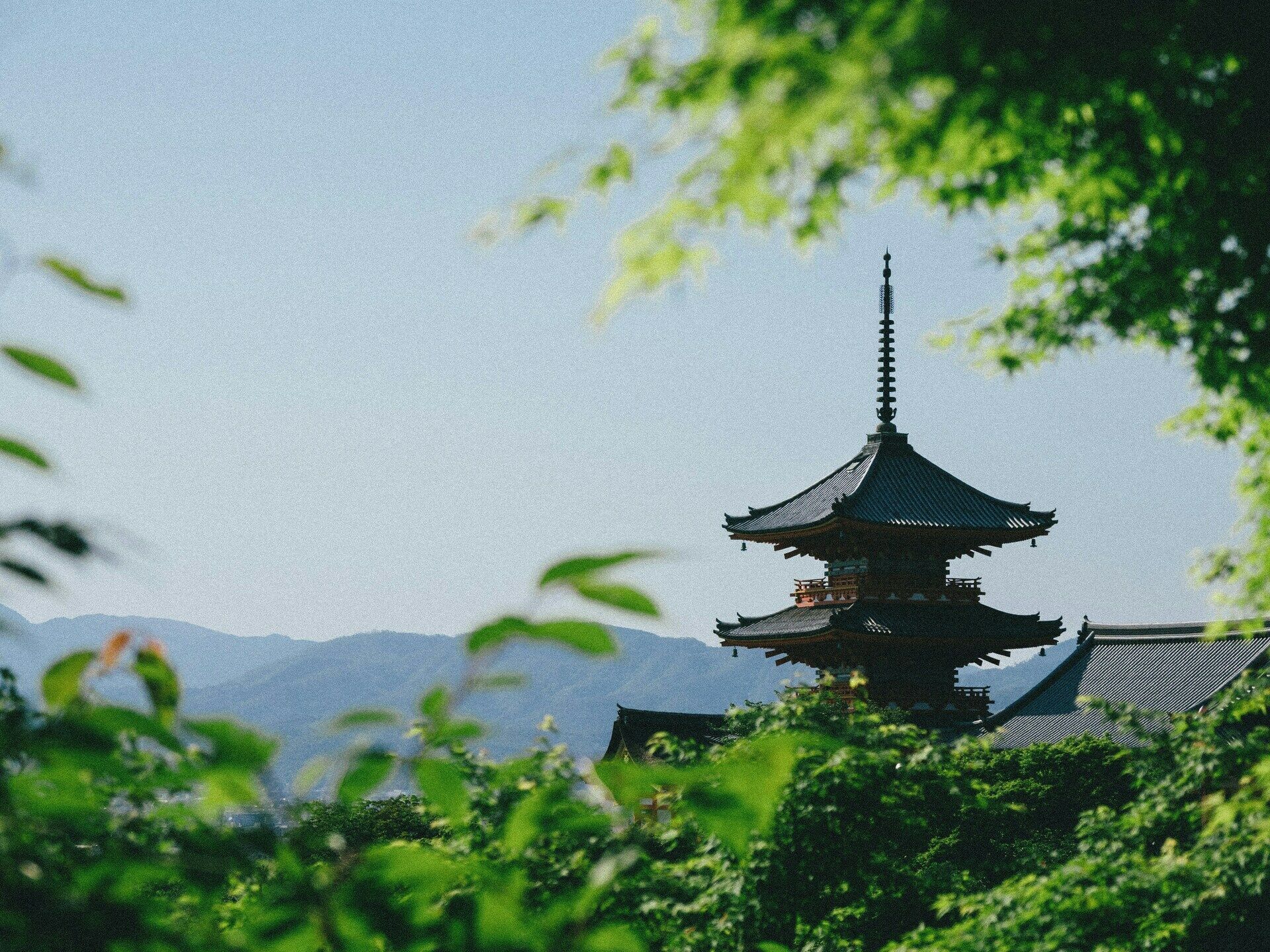 Combiné Singapour Japon pas cher photo 16