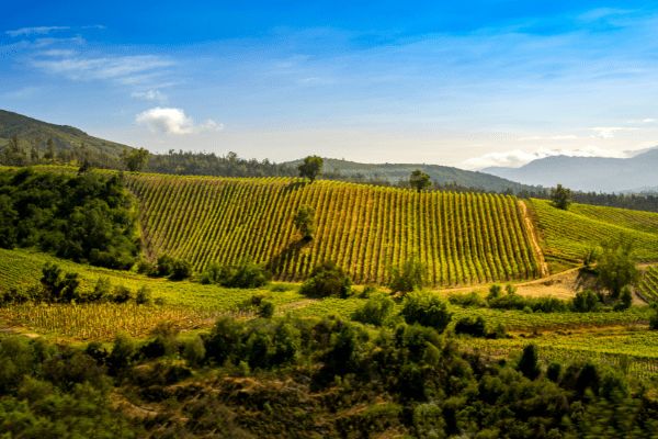 Circuit Panoramas Latinos : de Buenos Aires à Santiago de Chile pas cher photo 40