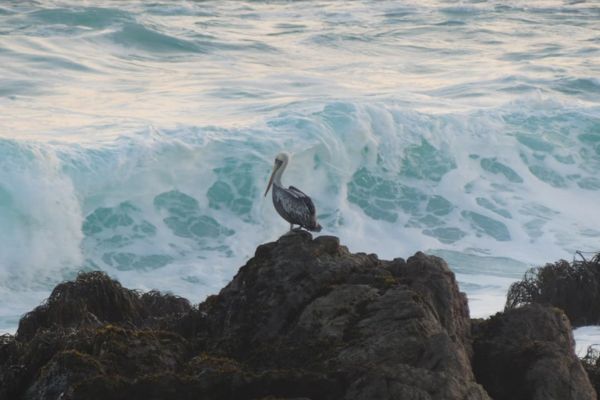 Circuit Panoramas Latinos : de Buenos Aires à Santiago de Chile pas cher photo 49