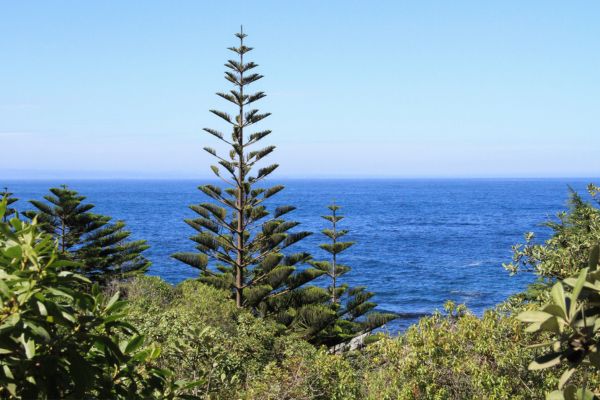 Circuit Panoramas Latinos : de Buenos Aires à Santiago de Chile pas cher photo 50