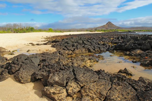 Circuit Odyssée Equatorienne : des Andes aux Galapagos pas cher