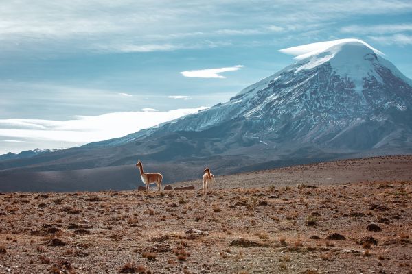 Circuit Odyssée Equatorienne : des Andes aux Galapagos pas cher photo 29