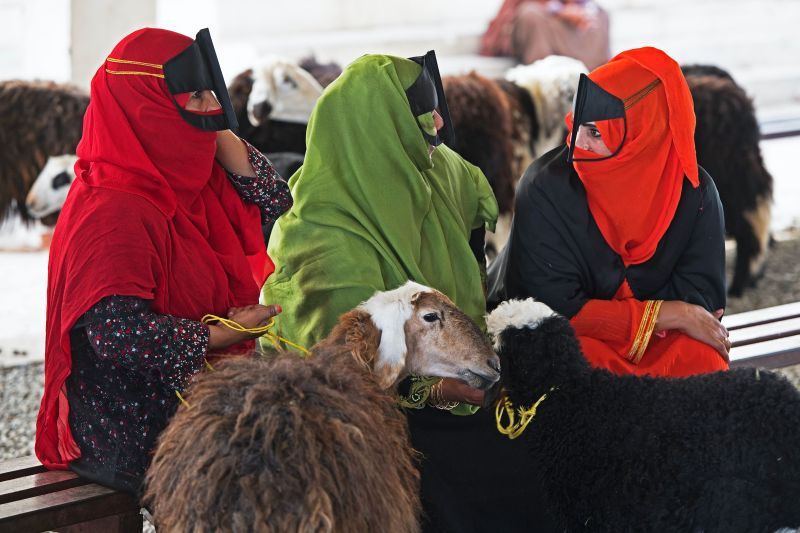 Autotour Oman en liberté et Séjour Jet Tours Signature Sifawy Boutique Hôtel 4* pas cher
