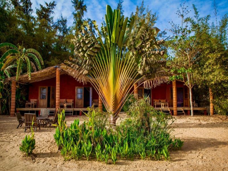 Circuit Jet tours En privé : Sénégal Colonial et Nature pas cher photo 4