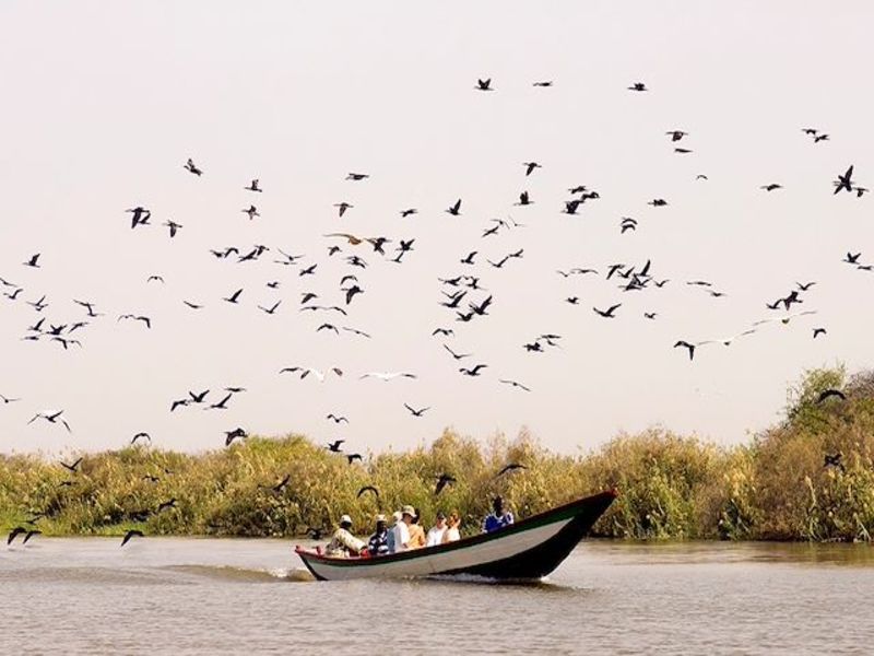 Circuit Jet tours En privé : Sénégal Colonial et Nature pas cher photo 6