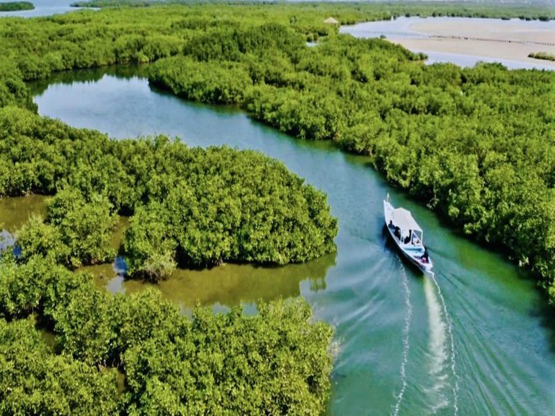 Circuit Jet tours En privé : Sénégal Colonial et Nature pas cher photo 8