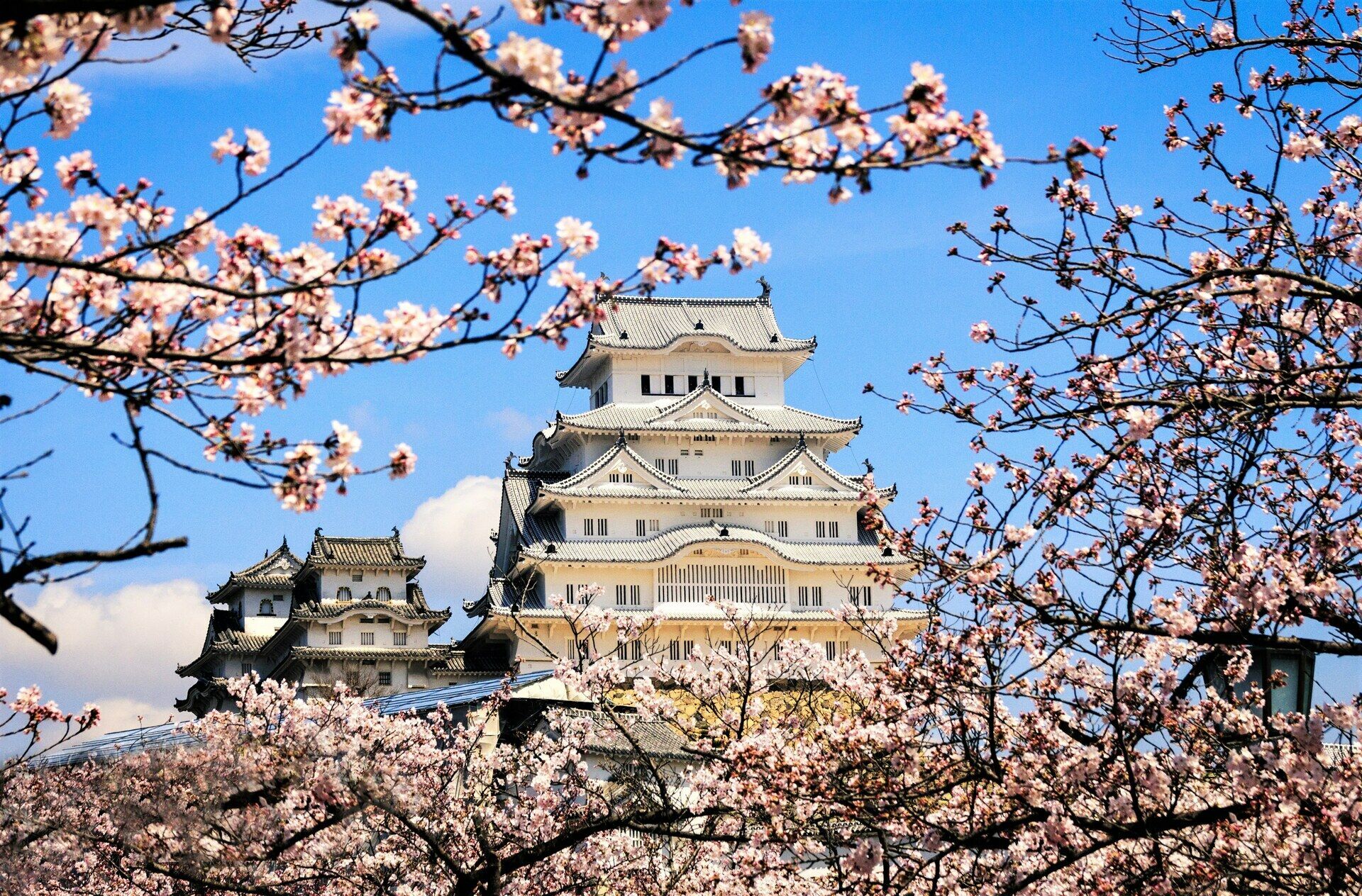 Circuit Individuel Le Japon Sous Toutes ses Formes 3* ou 4* pas cher photo 12