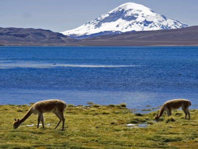 Circuit découverte de la Bolivie, la perle des Andes pas cher photo 1