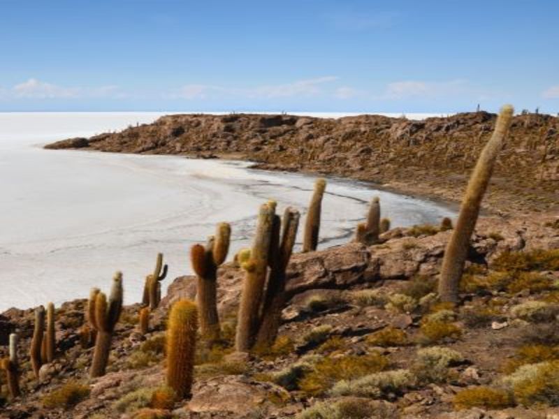 Circuit découverte de la Bolivie, la perle des Andes pas cher photo 8