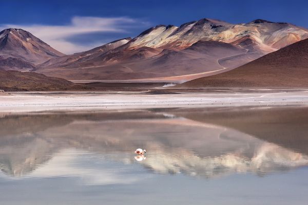 Circuit Aventure Bolivienne, entre Sel et Ciel pas cher photo 17