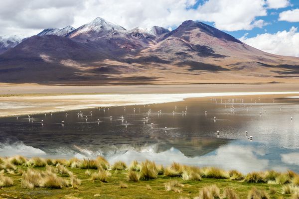 Circuit Aventure Bolivienne, entre Sel et Ciel pas cher photo 24
